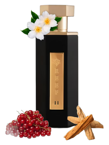 REEF 11 EDP 100ML